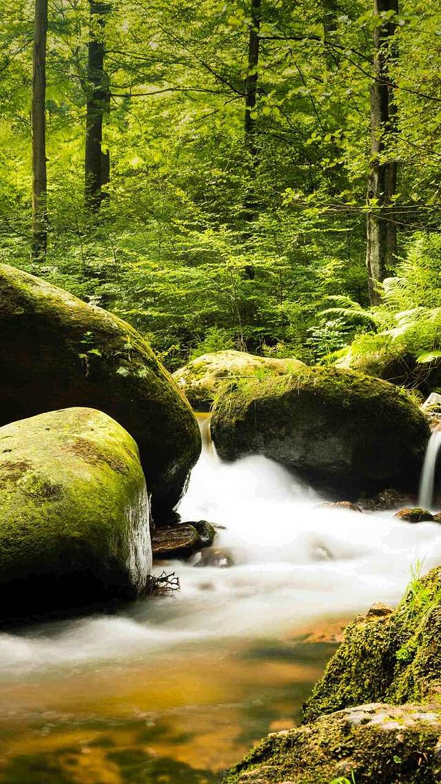 老众興汤包馆(陆家嘴店)