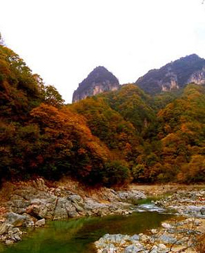 光雾山旅游景区旅游景点攻略图