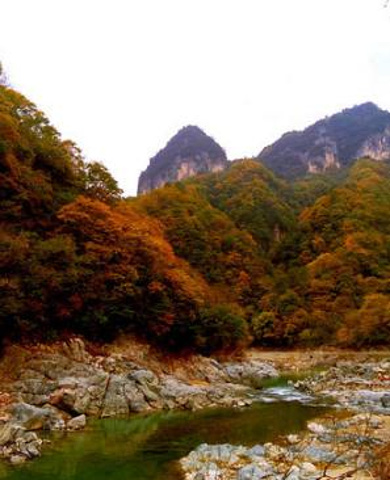 "_光雾山旅游景区"的评论图片