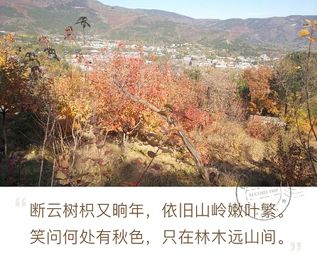 郑州香山景区的图片