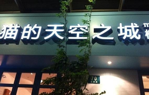 猫的天空之城概念书店(大学路店)