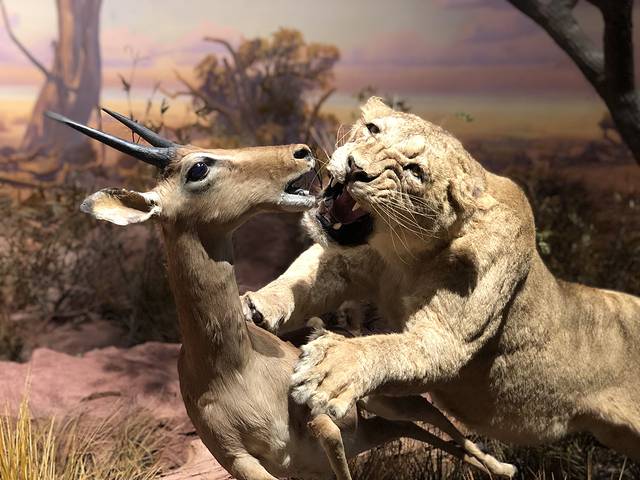 浙江自然博物院(安吉馆)