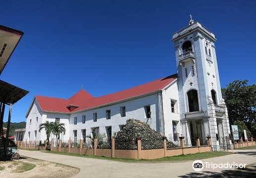 Santo Nino de Anda Parish Church旅游景点图片