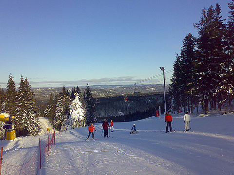 Oslo Winter Park旅游景点图片