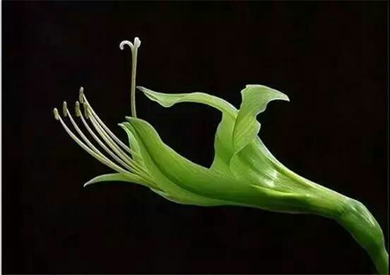 葛仙山悠然南山山庄