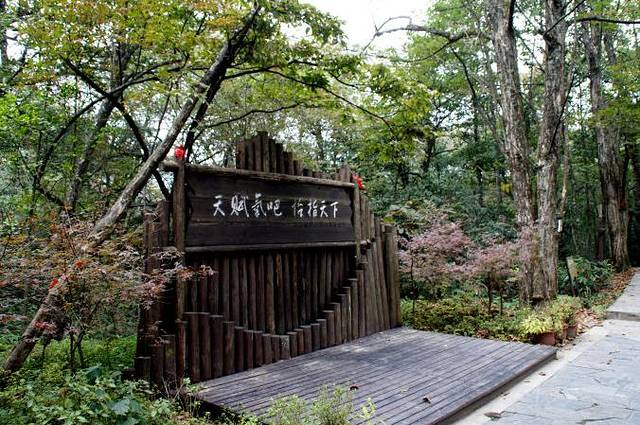 鸡公山原始森林