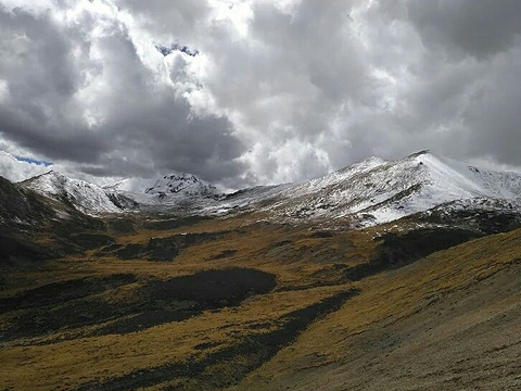 乃钦康桑雪山旅游景点图片