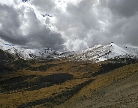 乃钦康桑雪山的图片