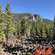 Proxy Falls