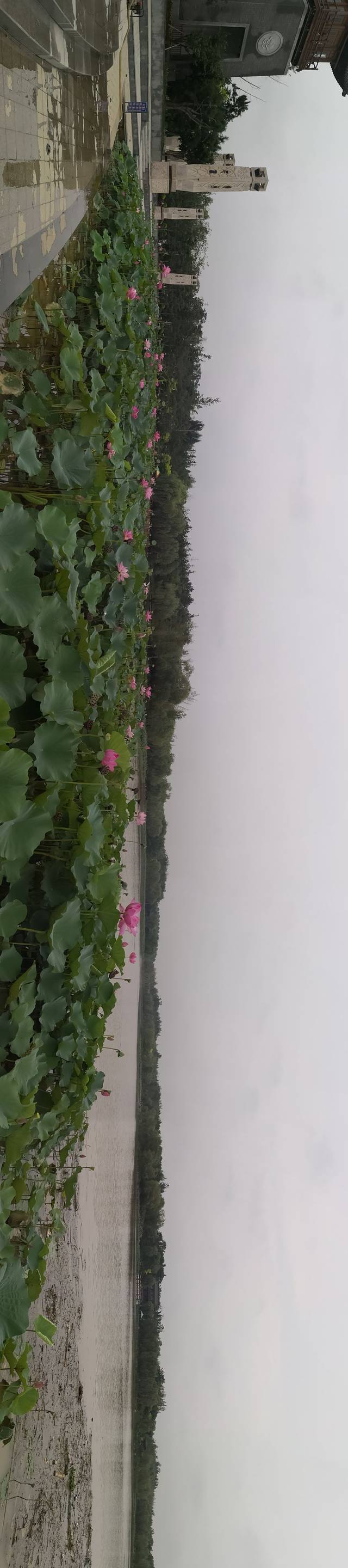 戴河生态园（北戴河区）