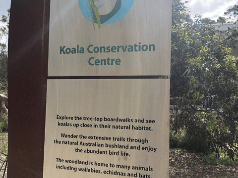 菲利普岛自然公园－考拉保护中心旅游景点图片
