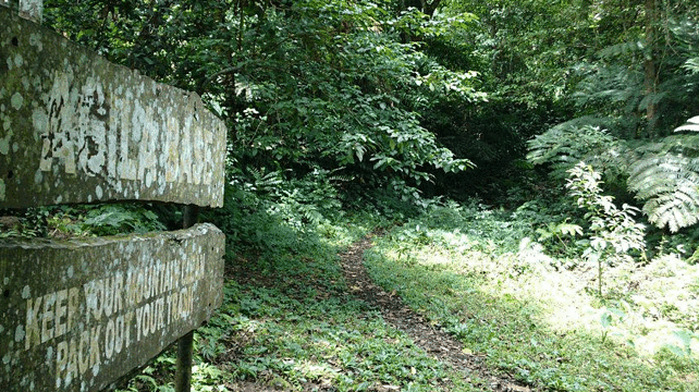 馬麒麟山旅游景点图片