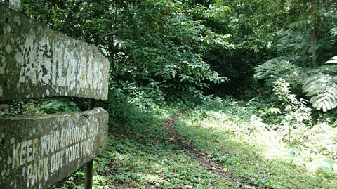 馬麒麟山