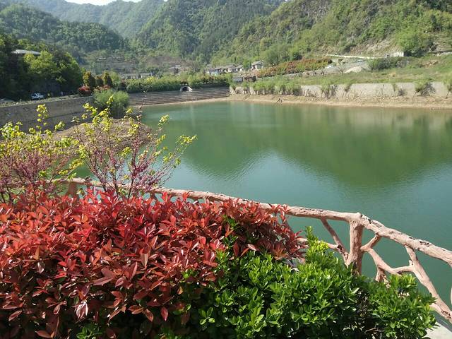 紫薇岛生态旅游度假区