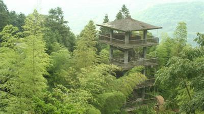 国立自然科学博物馆凤凰谷鸟园生态园区