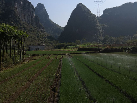 三都镇根破屯旅游景点图片