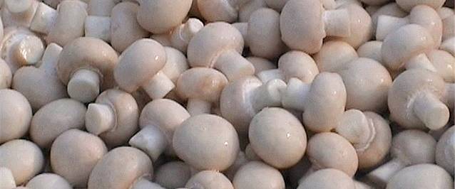 友谊商城(大商友谊超市海悦城购物中心店)