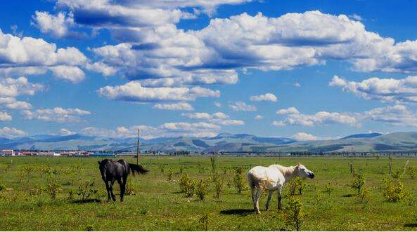 丰宁坝上草原行农家院