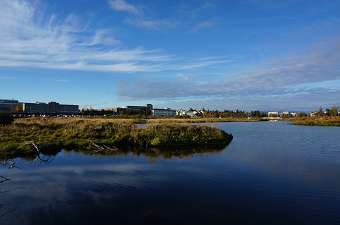 冰岛大学的图片