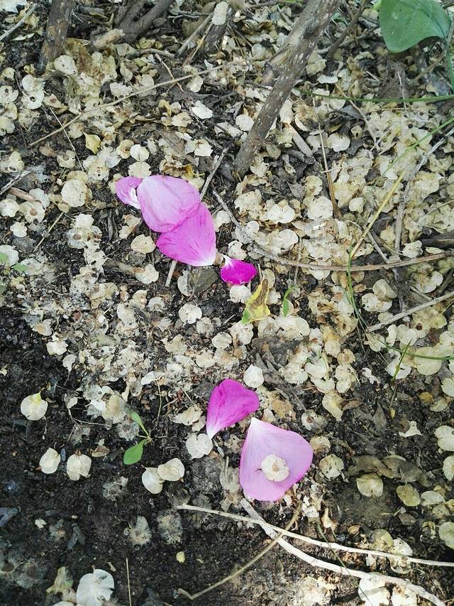 吉木萨尔地质公园