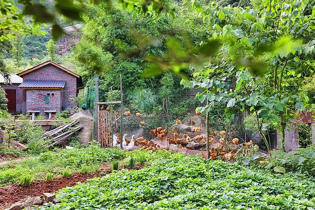 綦江古剑山风景区