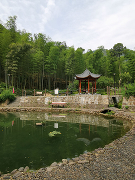 杭州西湖风景名胜区-西山森林公园