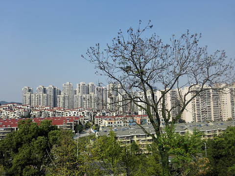 金峰公园旅游景点图片