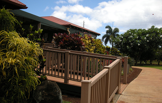 Kauai咖啡园旅游景点图片