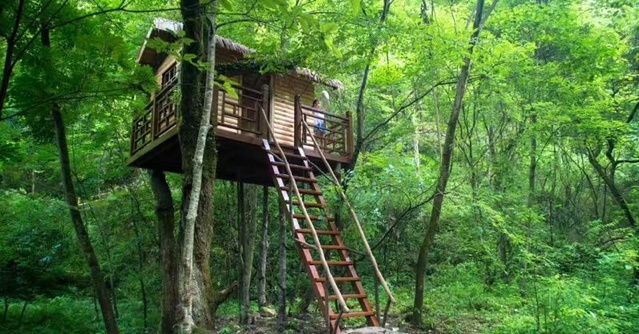 平利桃花溪景区