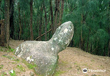 Phallic Rock (Ka Ule o Nanahoa)