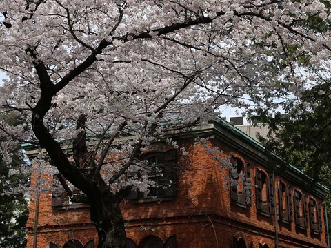 东京艺术大学大学美术馆旅游景点图片