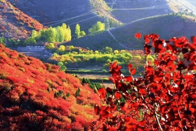 舞彩浅山滨水国家登山步道