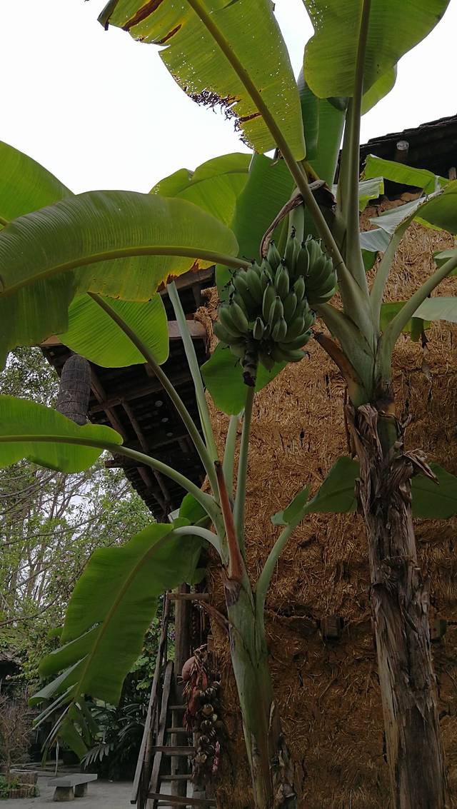 明仕田园壮族民居博物园