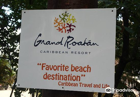 Grand Roatan Beach Club