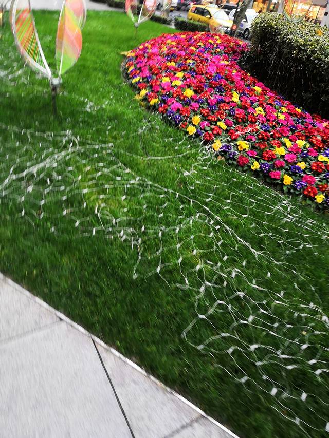 滨江广场-湿地公园