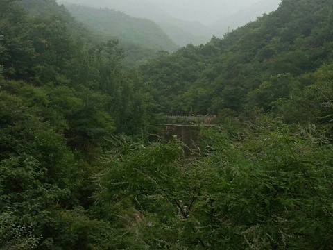 荆山森林公园旅游景点图片