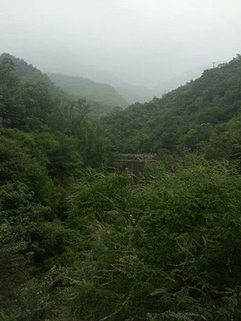 荆山森林公园