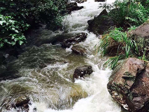 雁荡山.桃源农庄旅游景点图片