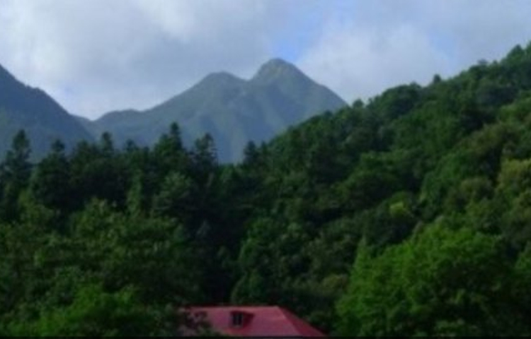 马尾水生态旅游风景区