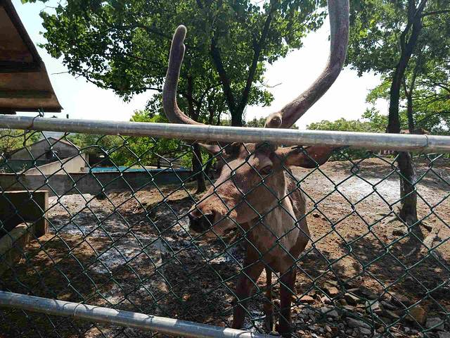绍兴美湖动物园