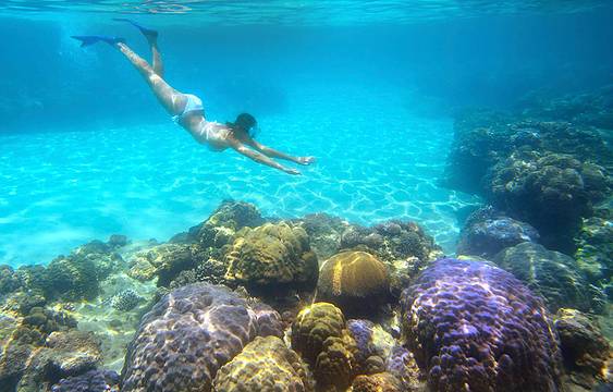 Dive and Adventure Philippines