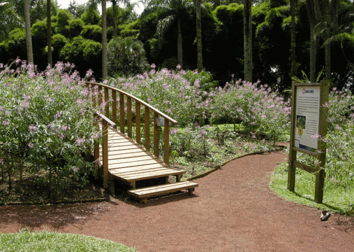 Francisco Javier Clavijero Botanical Garden旅游景点图片