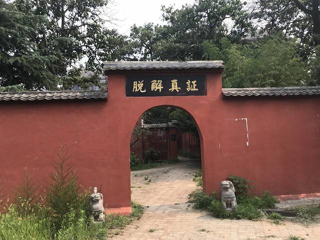 洞林寺
