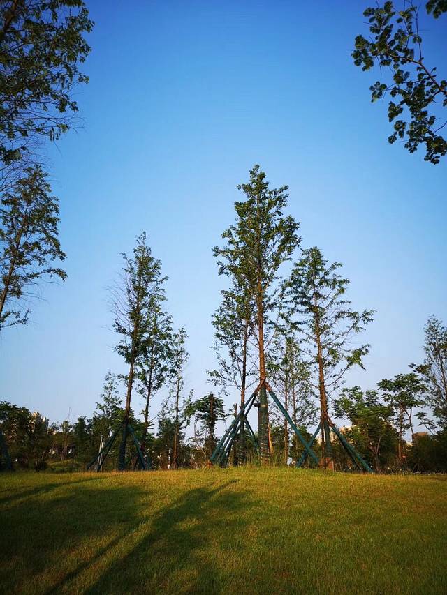 圭塘河生态公园