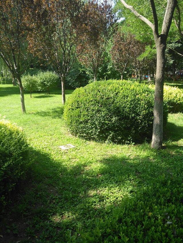 兰山公园-兰州大兰山景区