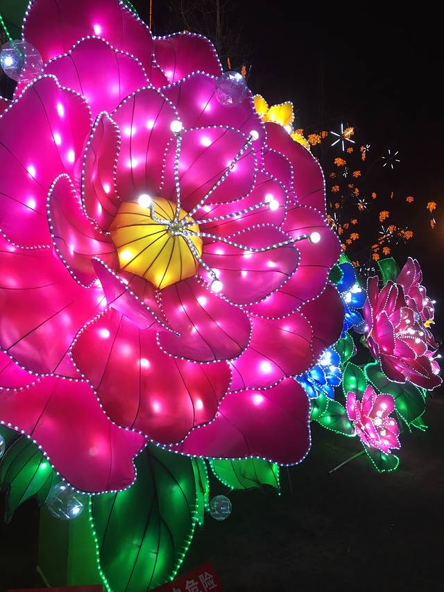 彩灯公园动物园