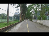 普者黑天鹅湖-观景台