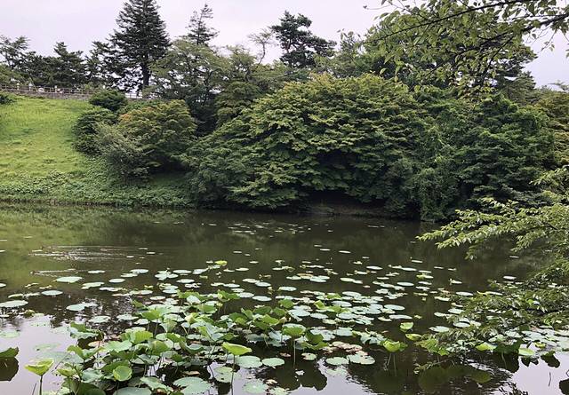 弘前市苹果公园