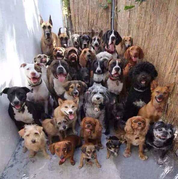 毕节腊肉豆米火锅(农院小吃街店)