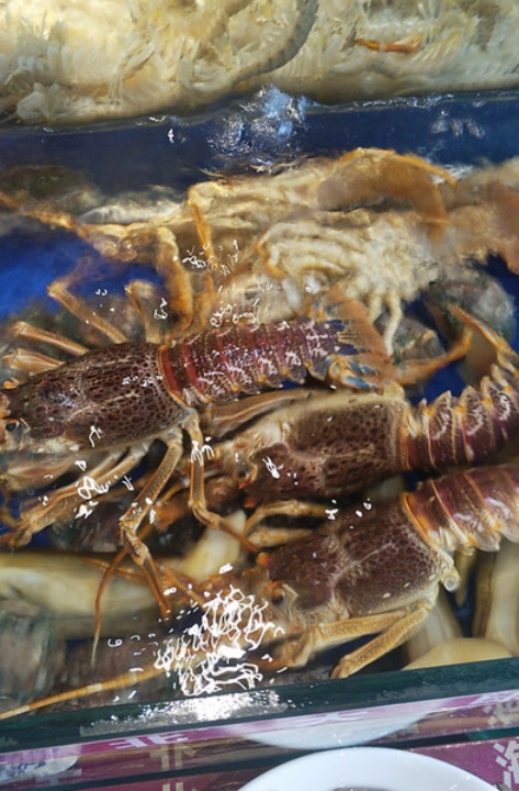 东北大印海鲜烧肉小酒馆